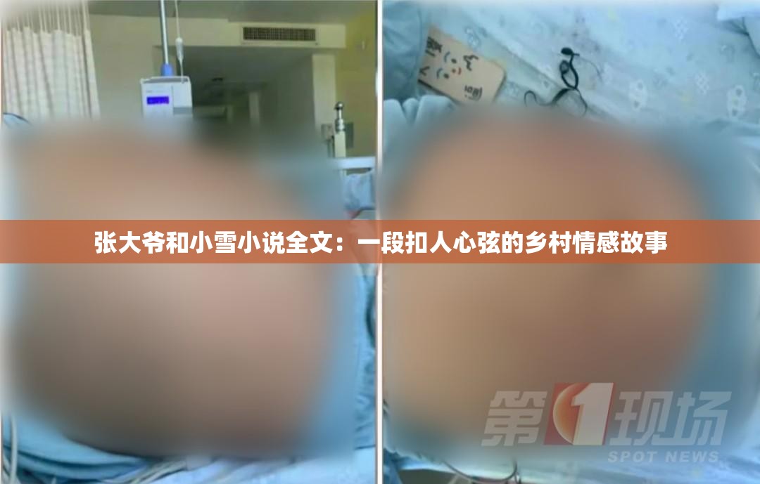 张大爷和小雪小说全文：一段扣人心弦的乡村情感故事