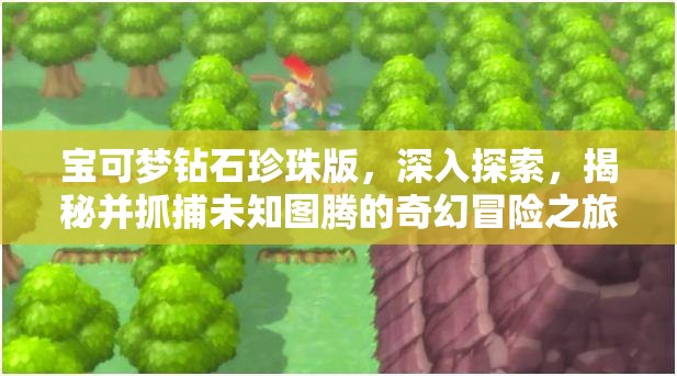 宝可梦钻石珍珠版，深入探索，揭秘并抓捕未知图腾的奇幻冒险之旅