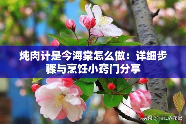 炖肉计是今海棠怎么做：详细步骤与烹饪小窍门分享
