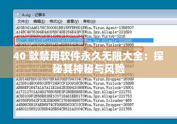 40 款禁用软件永久无限大全：探秘其神秘与风险