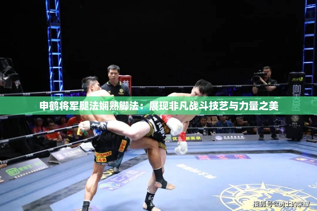 申鹤将军腿法娴熟脚法：展现非凡战斗技艺与力量之美