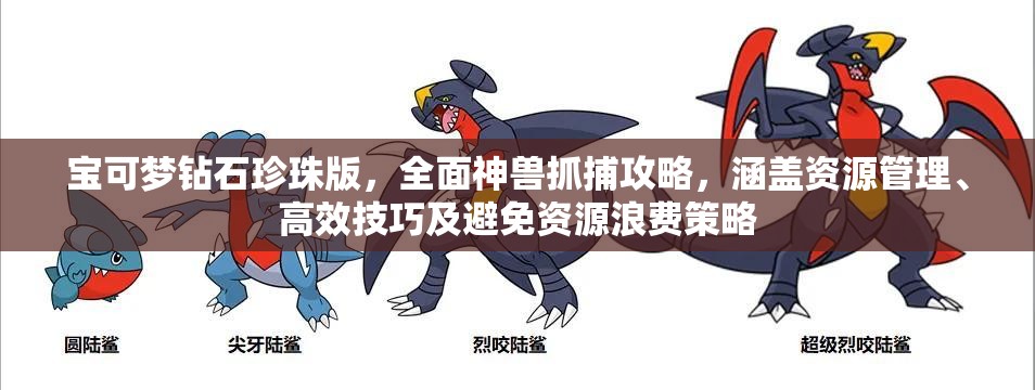 宝可梦钻石珍珠版，全面神兽抓捕攻略，涵盖资源管理、高效技巧及避免资源浪费策略