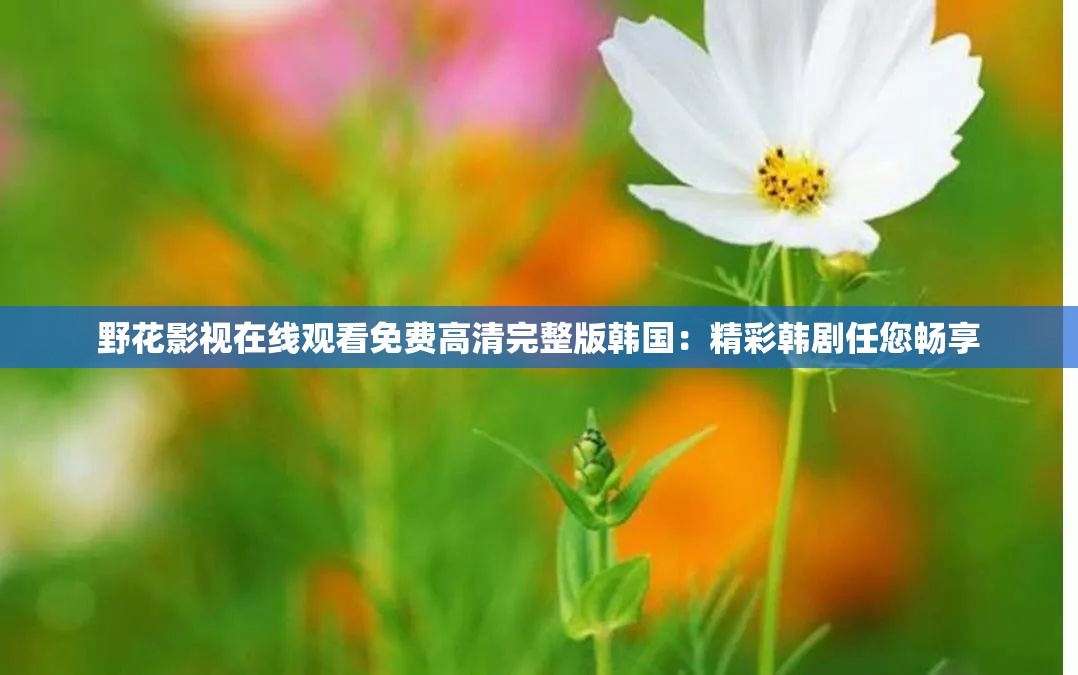 野花影视在线观看免费高清完整版韩国：精彩韩剧任您畅享