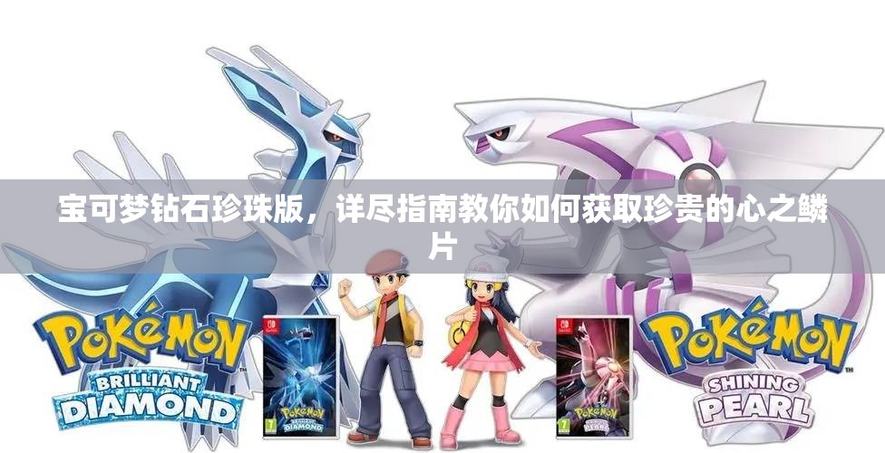 宝可梦钻石珍珠版，详尽指南教你如何获取珍贵的心之鳞片