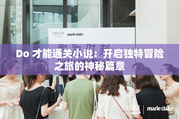 Do 才能通关小说：开启独特冒险之旅的神秘篇章