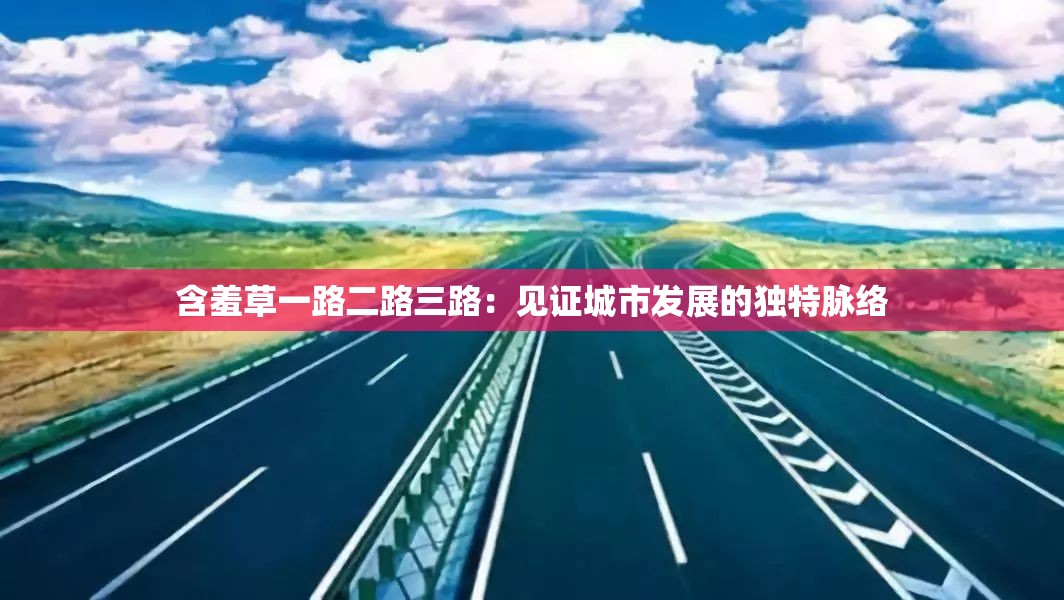 含羞草一路二路三路：见证城市发展的独特脉络