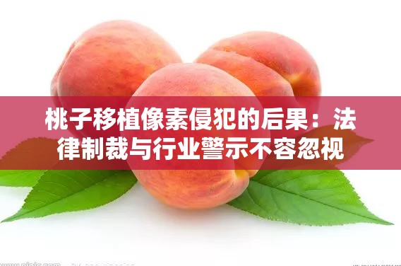 桃子移植像素侵犯的后果：法律制裁与行业警示不容忽视