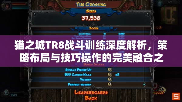 猫之城TR8战斗训练深度解析，策略布局与技巧操作的完美融合之道