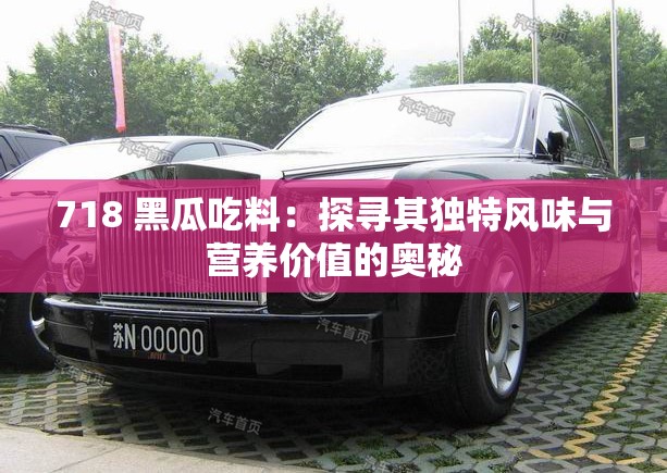 718 黑瓜吃料：探寻其独特风味与营养价值的奥秘