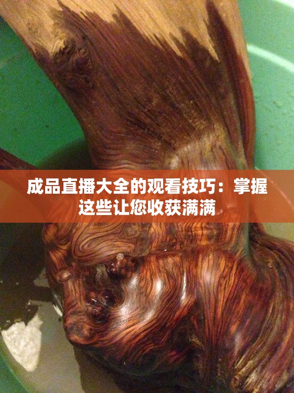 成品直播大全的观看技巧：掌握这些让您收获满满