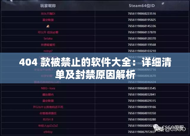 404 款被禁止的软件大全：详细清单及封禁原因解析
