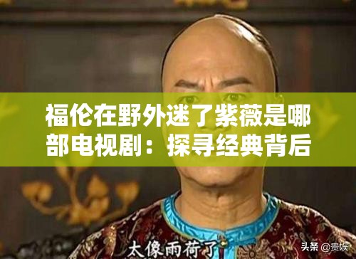 福伦在野外迷了紫薇是哪部电视剧：探寻经典背后的故事