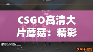 CSGO高清大片蘑菇：精彩游戏瞬间与视觉盛宴的融合