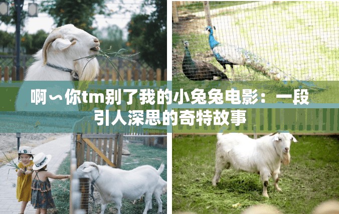 啊∽你tm别了我的小兔兔电影：一段引人深思的奇特故事