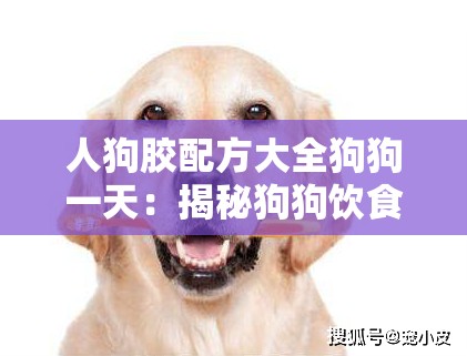 人狗胶配方大全狗狗一天：揭秘狗狗饮食的神秘配方