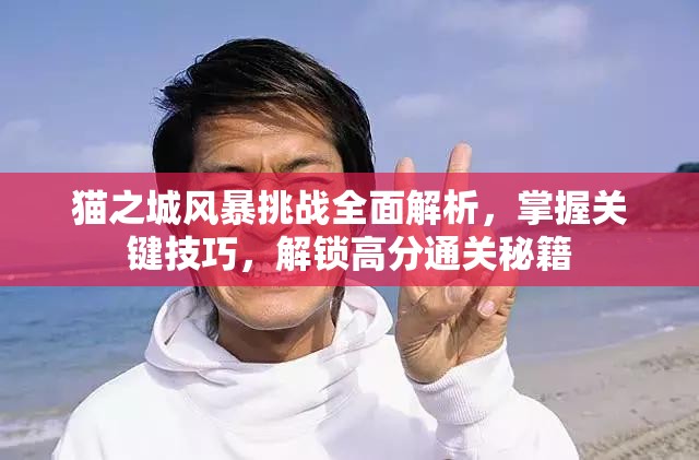 猫之城风暴挑战全面解析，掌握关键技巧，解锁高分通关秘籍