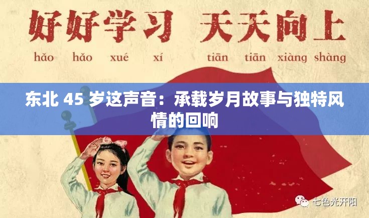 东北 45 岁这声音：承载岁月故事与独特风情的回响