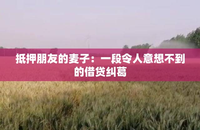 抵押朋友的麦子：一段令人意想不到的借贷纠葛