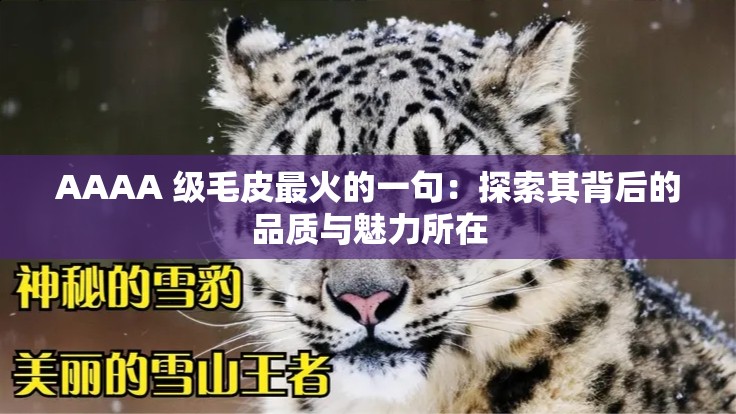 AAAA 级毛皮最火的一句：探索其背后的品质与魅力所在