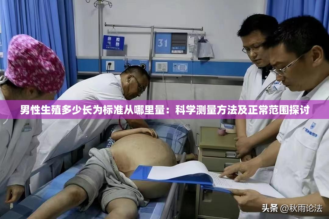 男性生殖多少长为标准从哪里量：科学测量方法及正常范围探讨