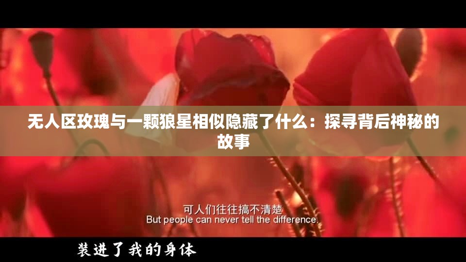 无人区玫瑰与一颗狼星相似隐藏了什么：探寻背后神秘的故事