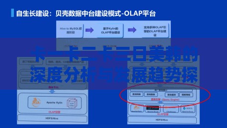 卡一卡二卡三日美韩的深度分析与发展趋势探讨