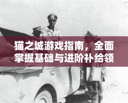 猫之城游戏指南，全面掌握基础与进阶补给领取的详细攻略