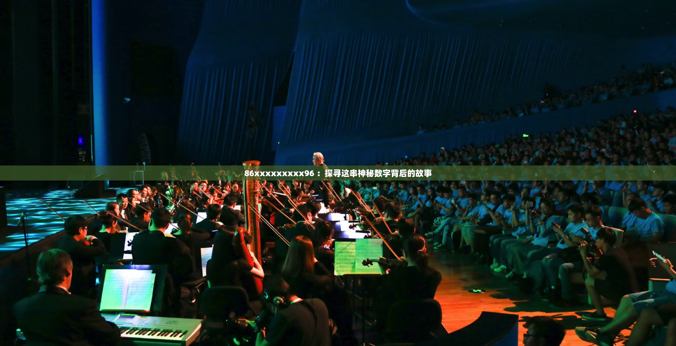 86xxxxxxxxx96 ：探寻这串神秘数字背后的故事