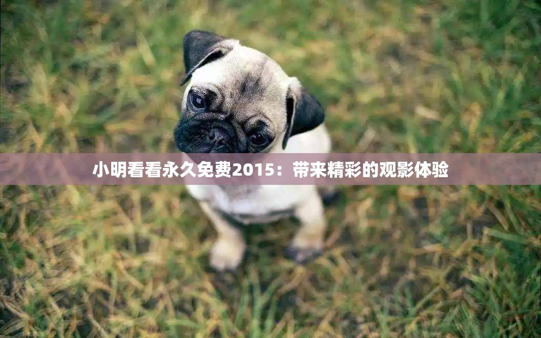 小明看看永久免费2015：带来精彩的观影体验