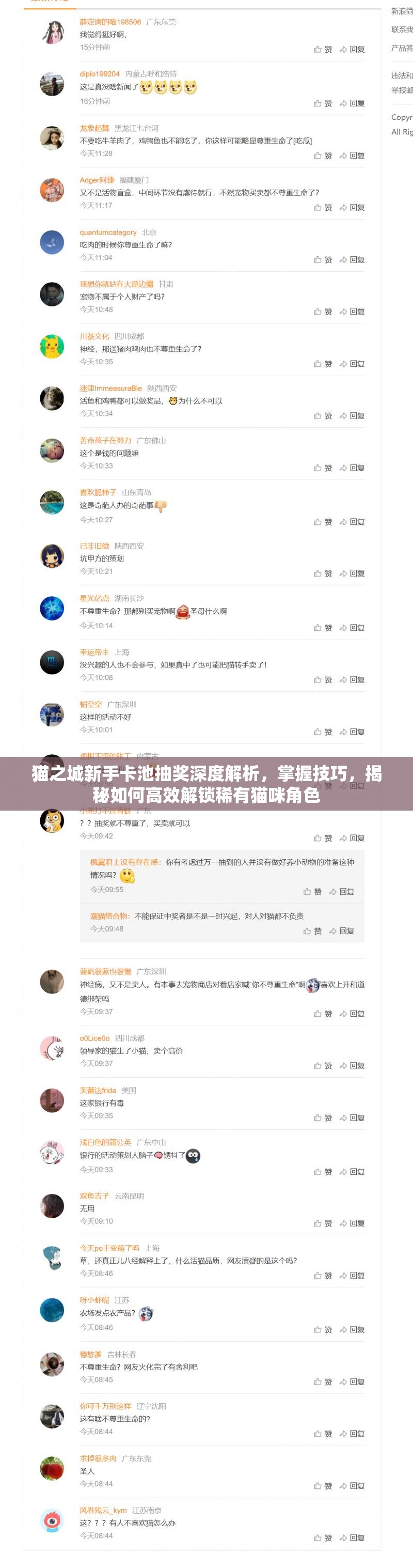 猫之城新手卡池抽奖深度解析，掌握技巧，揭秘如何高效解锁稀有猫咪角色