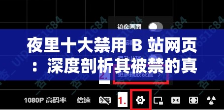 夜里十大禁用 B 站网页：深度剖析其被禁的真正原因
