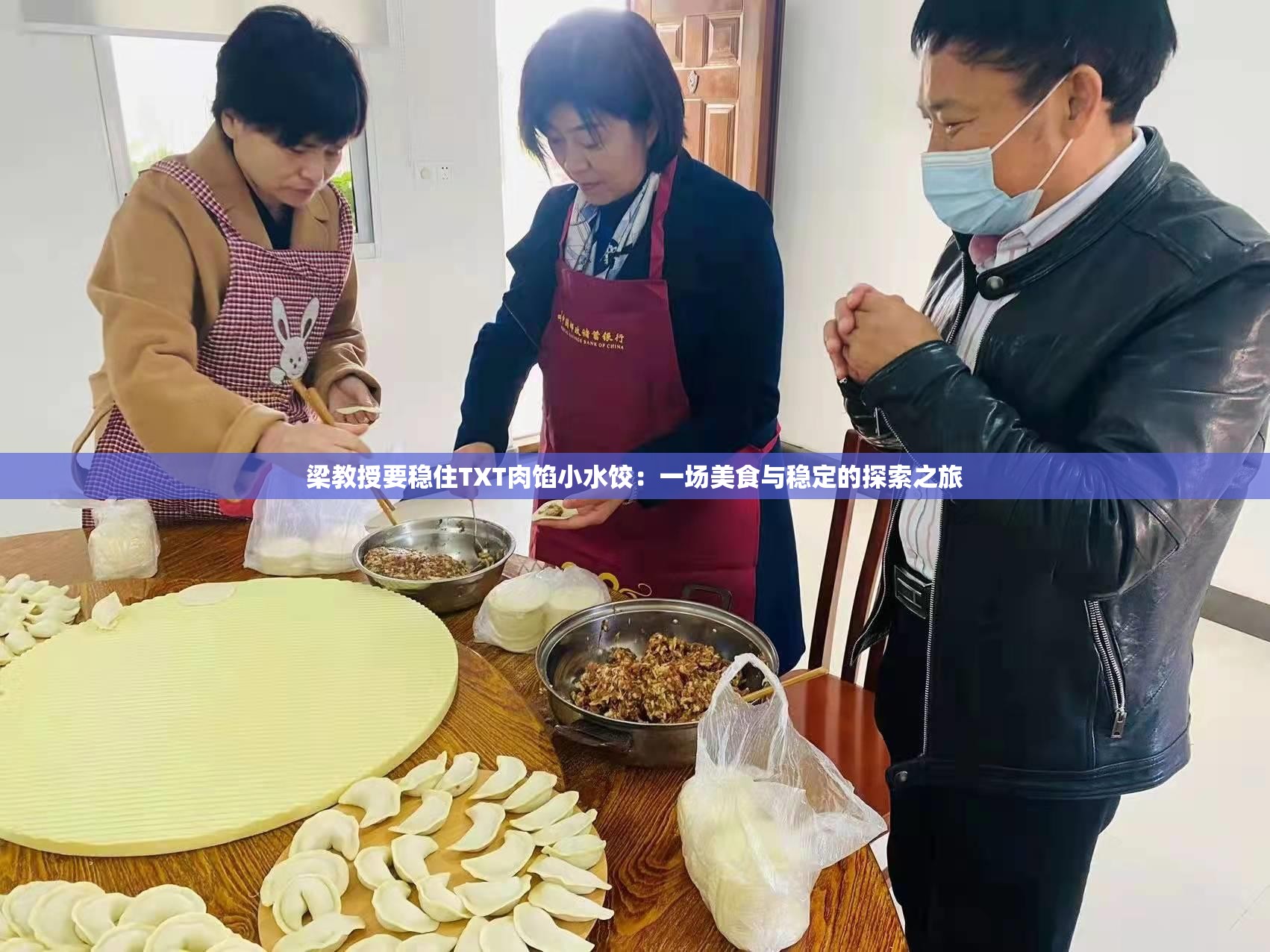 梁教授要稳住TXT肉馅小水饺：一场美食与稳定的探索之旅