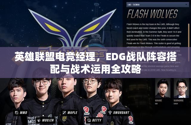 英雄联盟电竞经理，EDG战队阵容搭配与战术运用全攻略
