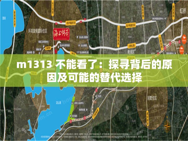 m1313 不能看了：探寻背后的原因及可能的替代选择