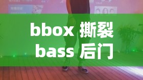 bbox 撕裂 bass 后门：带你领略独特音乐魅力与技巧