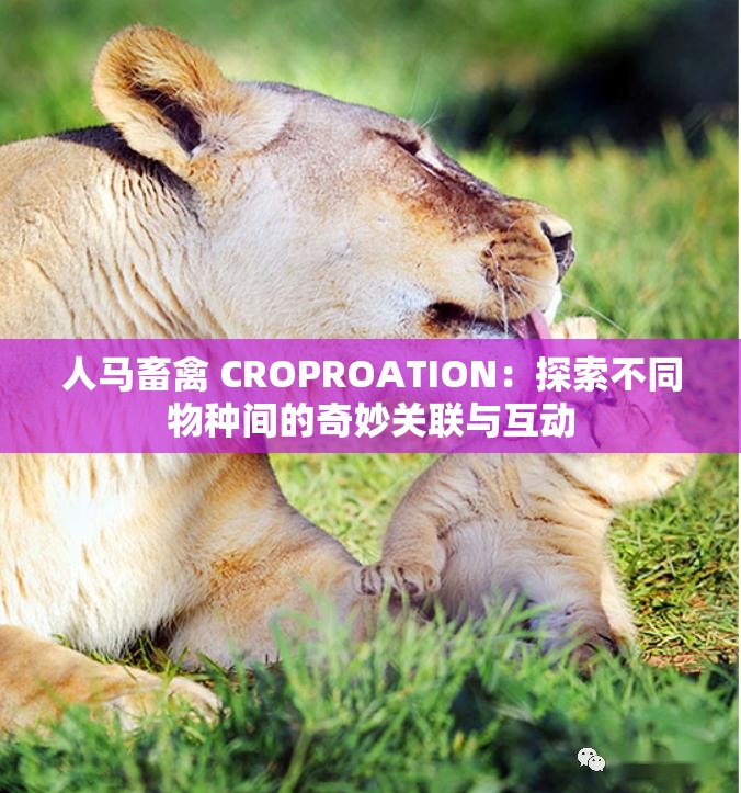 人马畜禽 CROPROATION：探索不同物种间的奇妙关联与互动