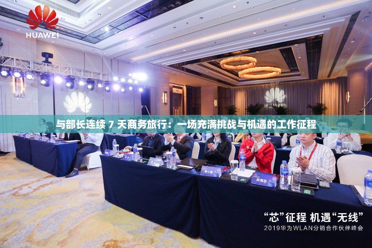 与部长连续 7 天商务旅行：一场充满挑战与机遇的工作征程