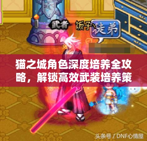 猫之城角色深度培养全攻略，解锁高效武装培养策略，迈向全新境界