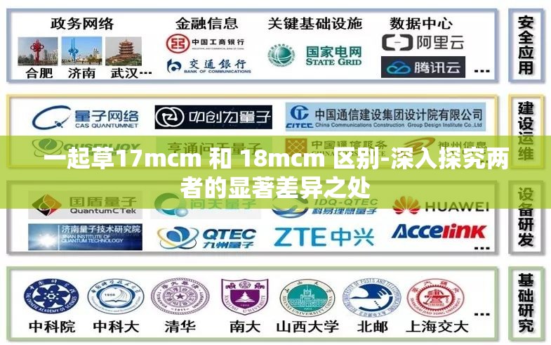 一起草17mcm 和 18mcm 区别-深入探究两者的显著差异之处