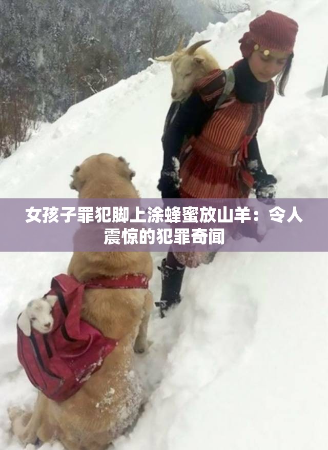 女孩子罪犯脚上涂蜂蜜放山羊：令人震惊的犯罪奇闻