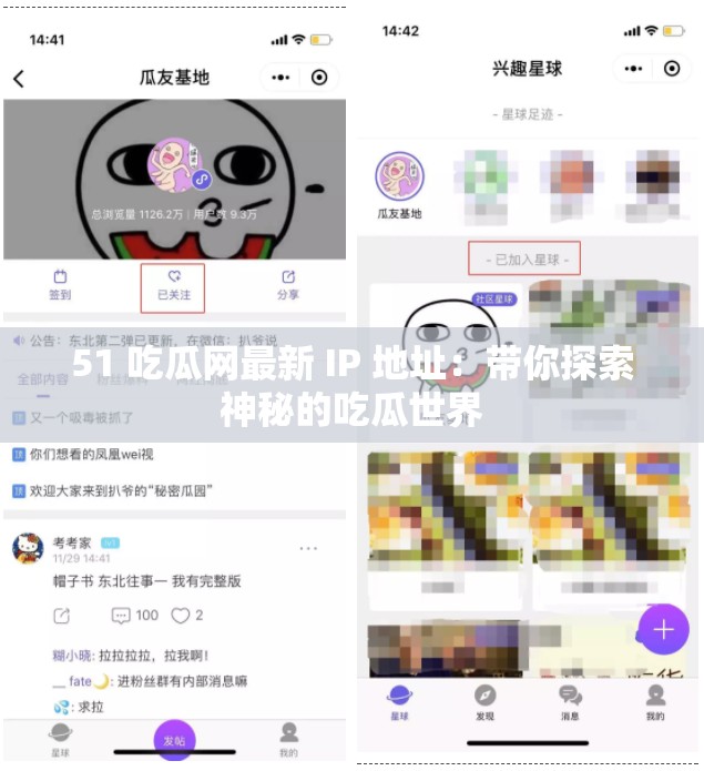 51 吃瓜网最新 IP 地址：带你探索神秘的吃瓜世界