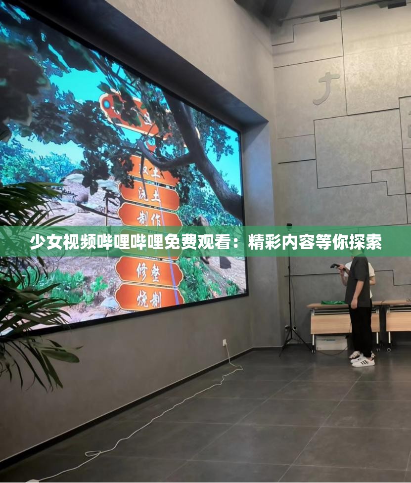少女视频哔哩哔哩免费观看：精彩内容等你探索