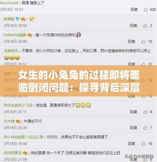 女生的小兔兔的过程即将面临倒闭问题：探寻背后深层原因及解决途径