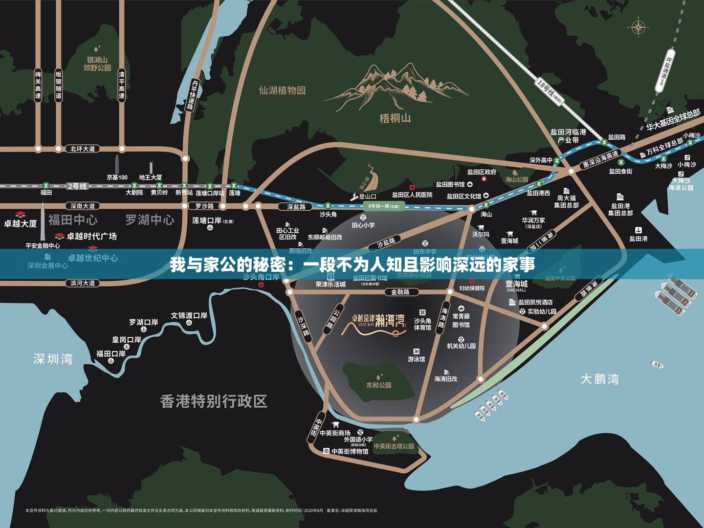 我与家公的秘密：一段不为人知且影响深远的家事