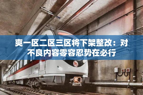 爽一区二区三区将下架整改：对不良内容零容忍势在必行