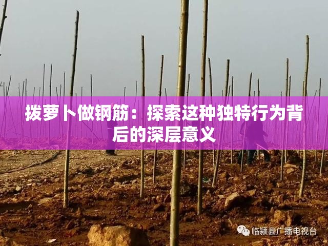 拨萝卜做钢筋：探索这种独特行为背后的深层意义