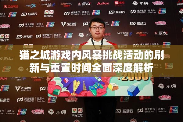 猫之城游戏内风暴挑战活动的刷新与重置时间全面深度解析