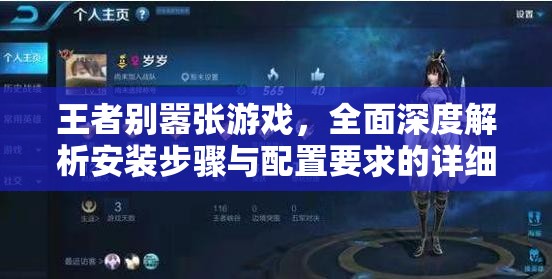 王者别嚣张游戏，全面深度解析安装步骤与配置要求的详细说明