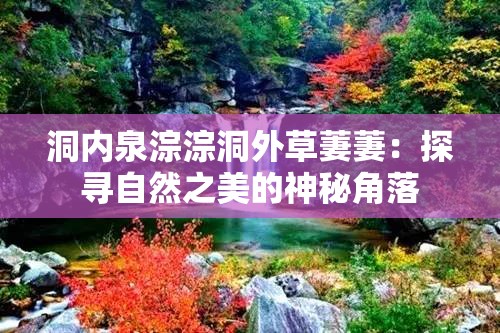 洞内泉淙淙洞外草萋萋：探寻自然之美的神秘角落