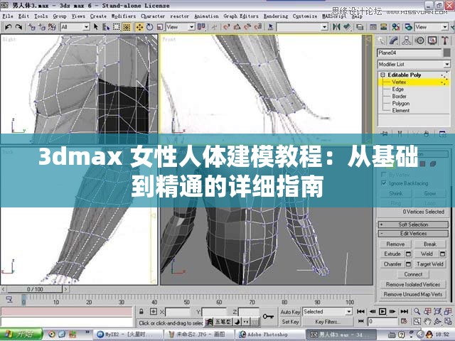 3dmax 女性人体建模教程：从基础到精通的详细指南